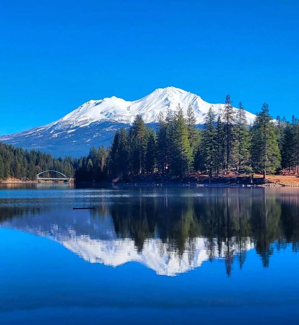 Retreat Program on Mount Shasta: “The Gates of Shasta” – Awakening Inner Voice and Wisdom - Image 4